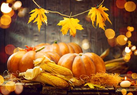 Happy Thanksgiving from all of us at The Maria Babaev Team